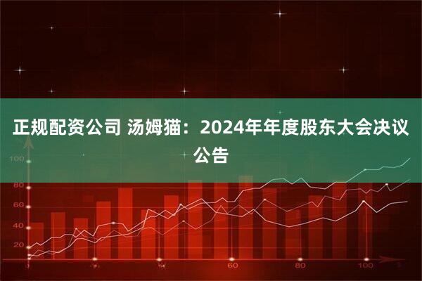 正规配资公司 汤姆猫：2024年年度股东大会决议公告
