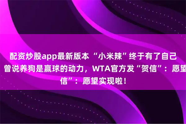 配资炒股app最新版本 “小米辣”终于有了自己的小狗！曾说养狗是赢球的动力，WTA官方发“贺信”：愿望实现啦！